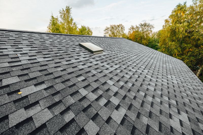 Roof Shingles Replacement Service