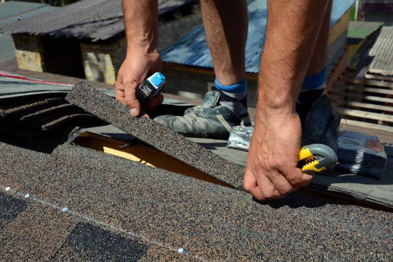 Roof Maintenance Services